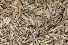 biomass boilers Lapworth